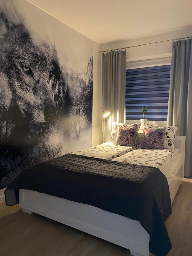 Apartament Bieszczadzkie Widoki اوسترزوكي دولن المظهر الخارجي الصورة