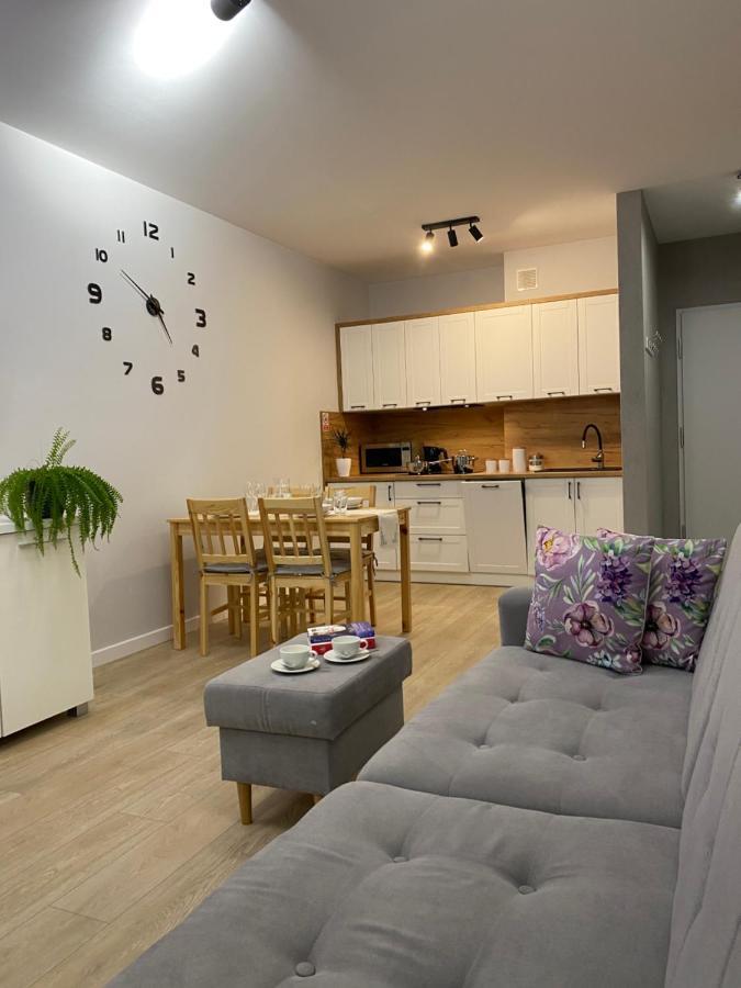 Apartament Bieszczadzkie Widoki اوسترزوكي دولن المظهر الخارجي الصورة